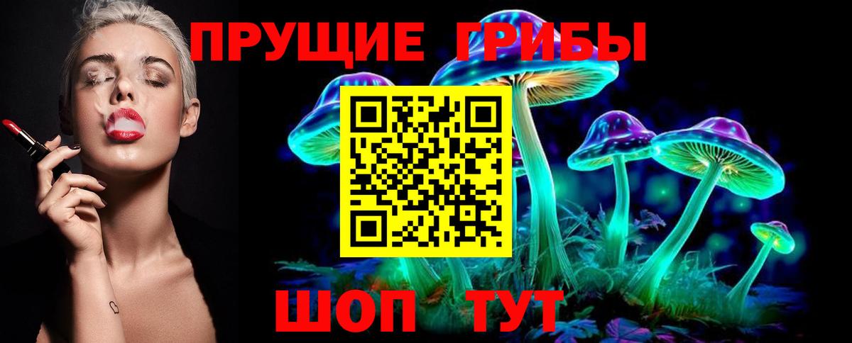 Псилоцибиновые грибы Cubensis  Вход с VPN  Галлюциногенные грибы MAGIC MUSHROOMS  Гай 